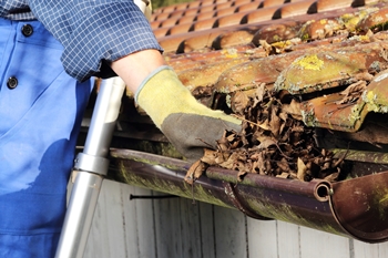 Gutter Cleaning